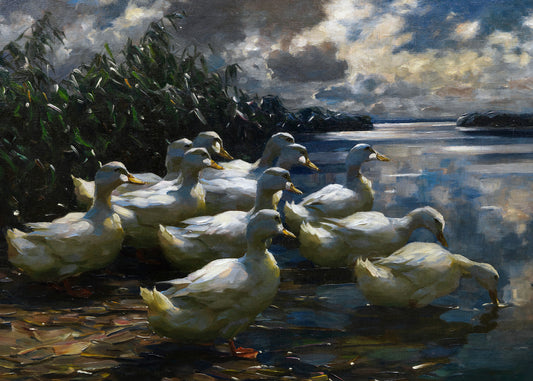 Reflective Ducks Gathering