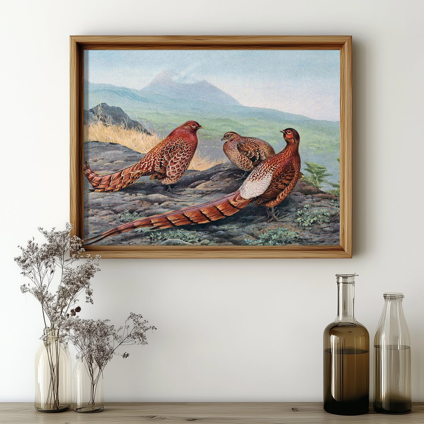 Majestic Pheasant Trio
