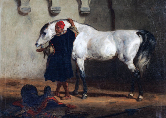 Equine Companionship