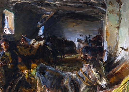 Shadowed Stable Serenity