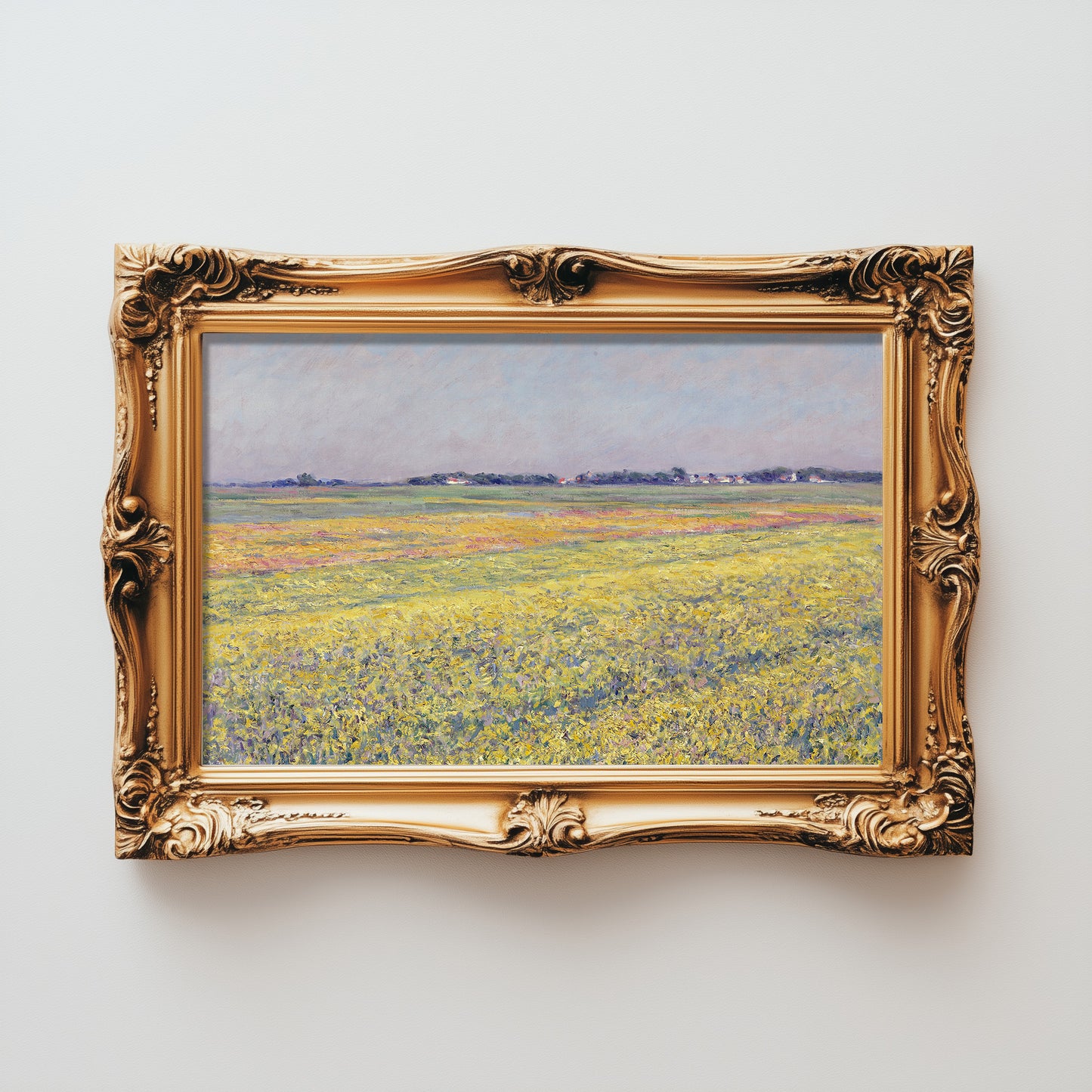 Sunlit Meadow Panorama