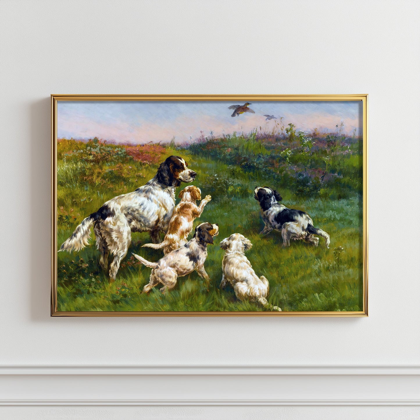 Field Playful Canines