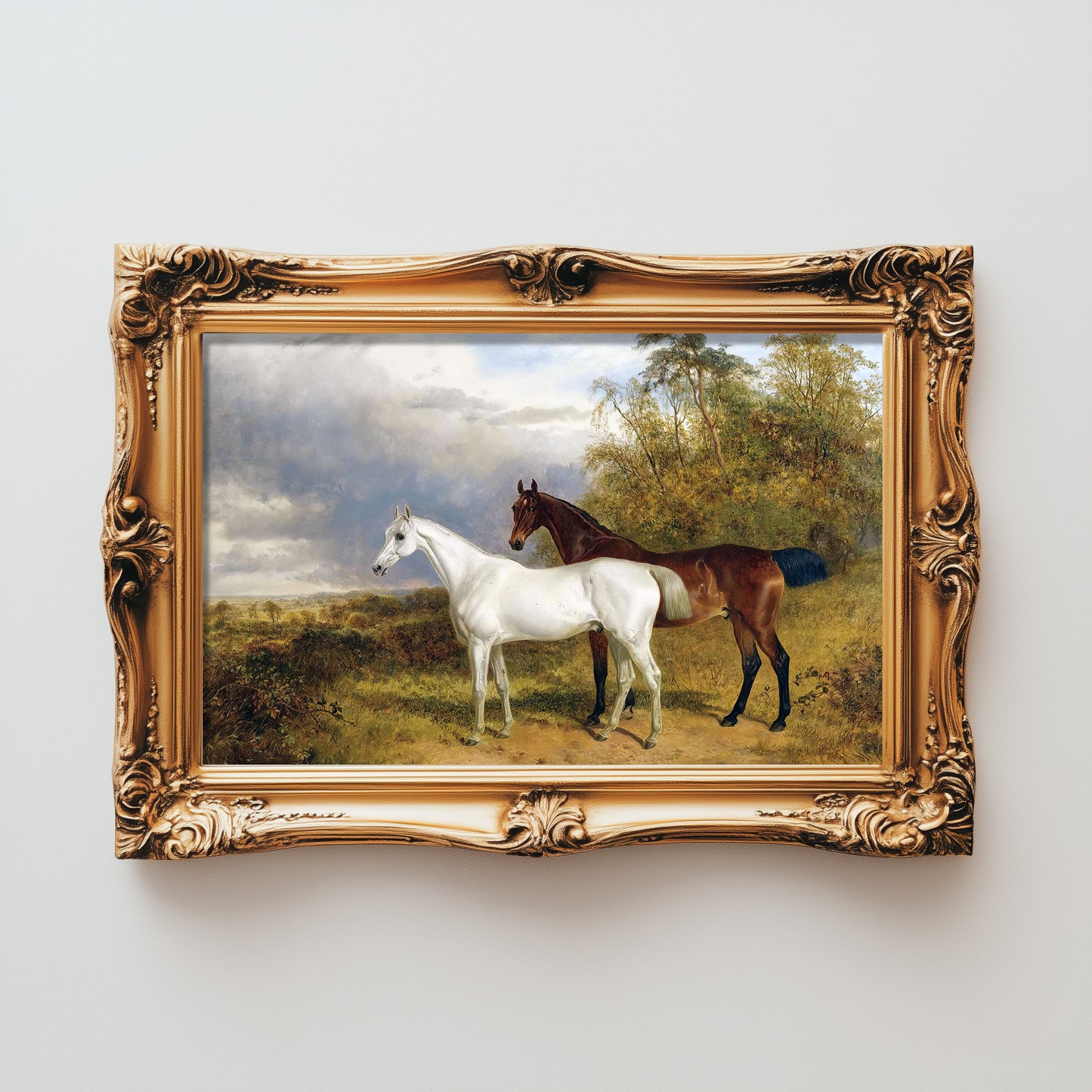 Equine Serenity
