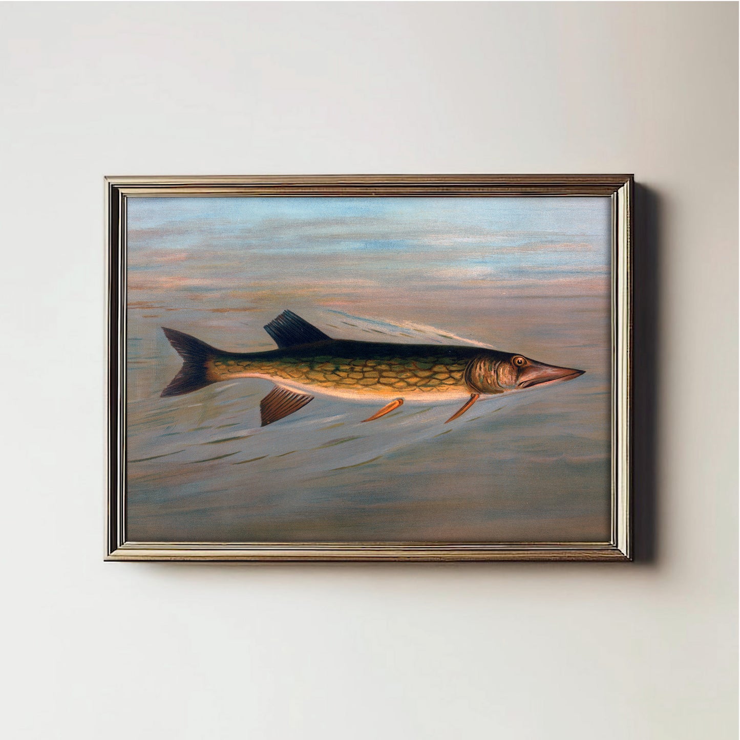 Swift Water Predator
