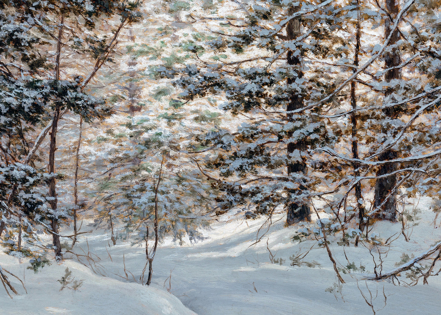 Winter Forest Moment