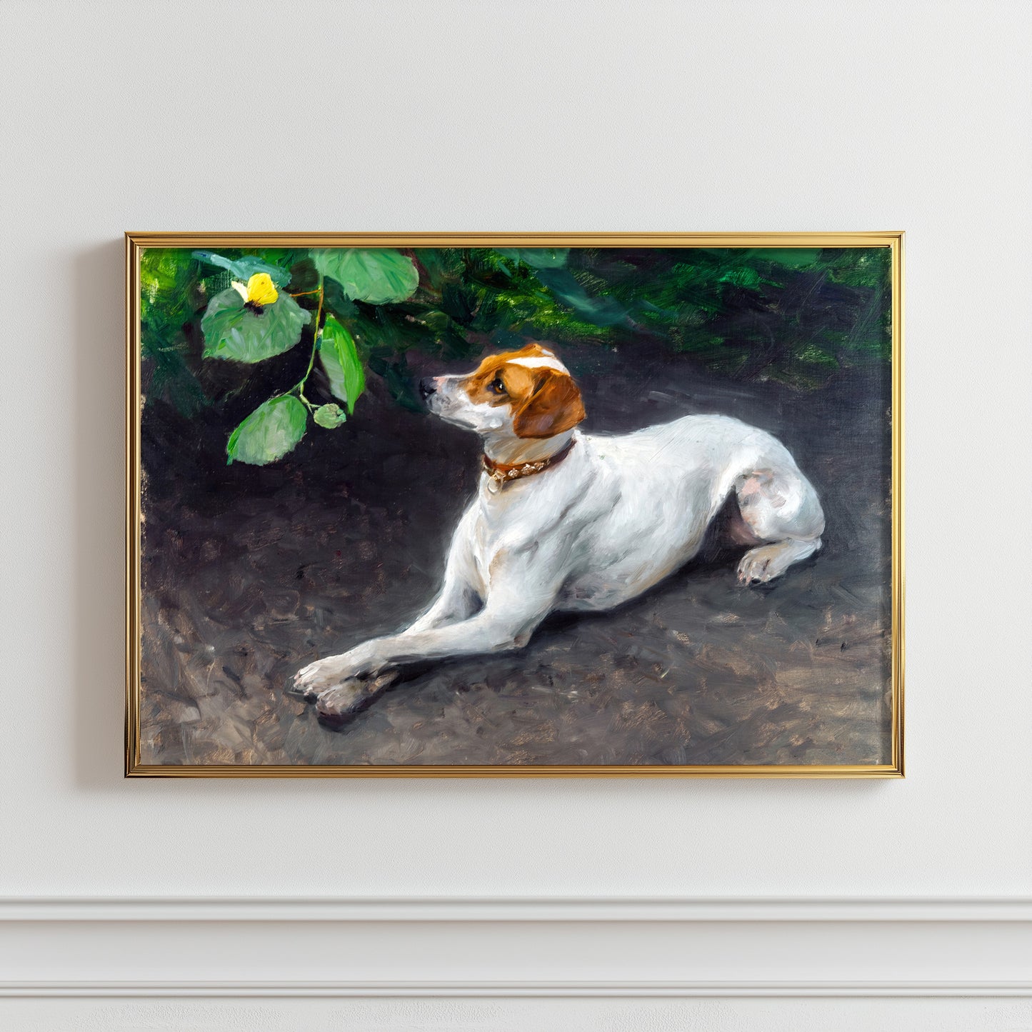 Contemplative Dog