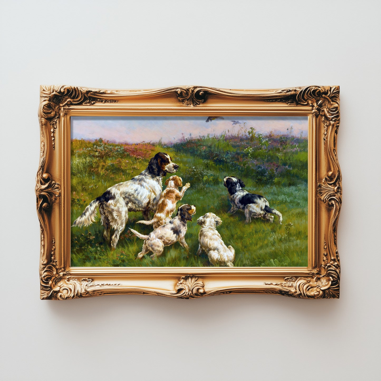 Field Playful Canines