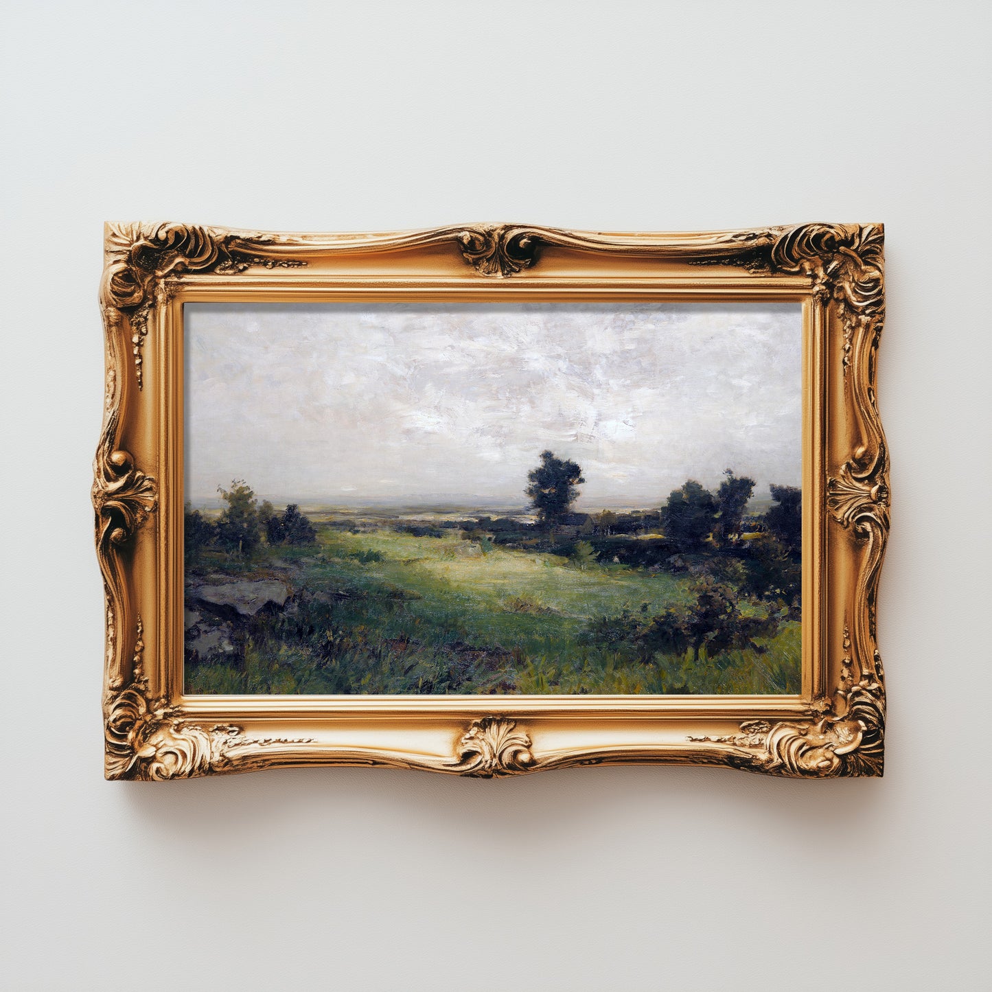 Serene Meadow Vista