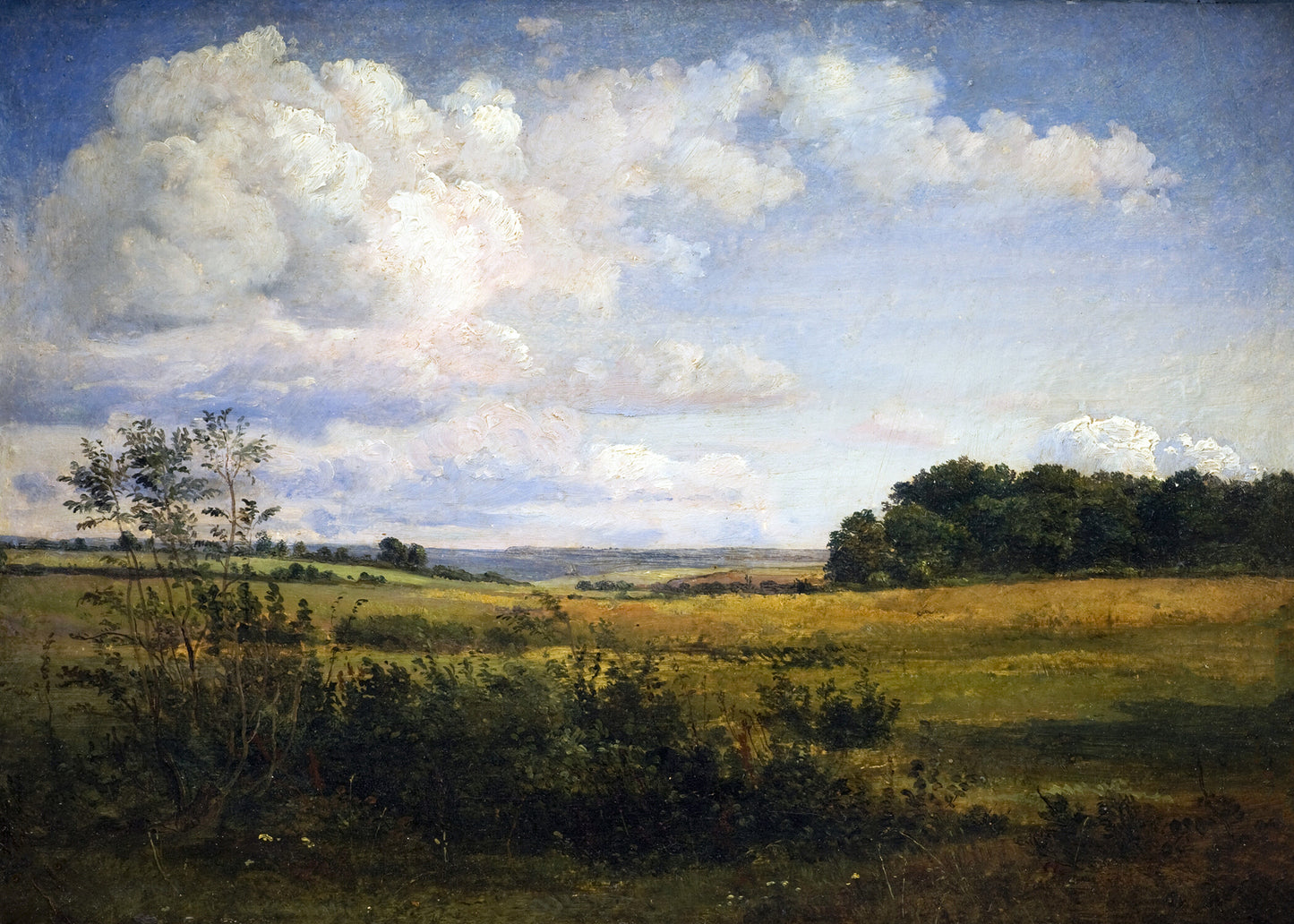 Cloudy Summer Meadow