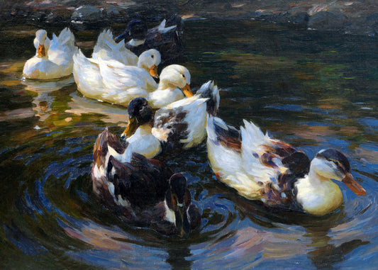 Serene Duck Gathering