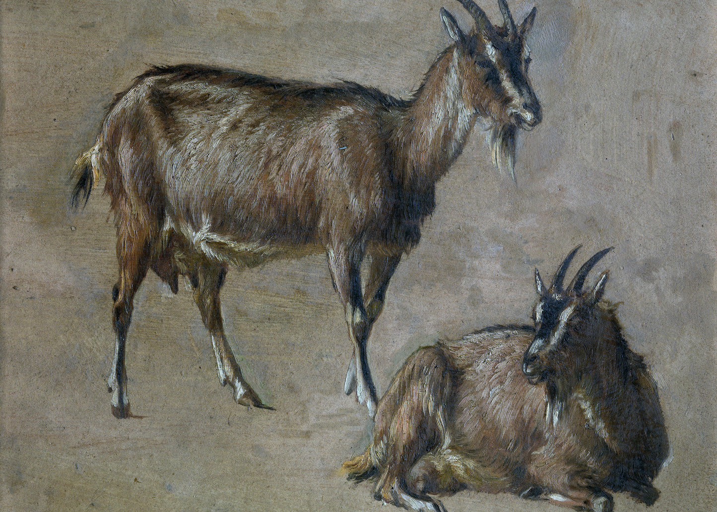 Gentle Grazing Duo