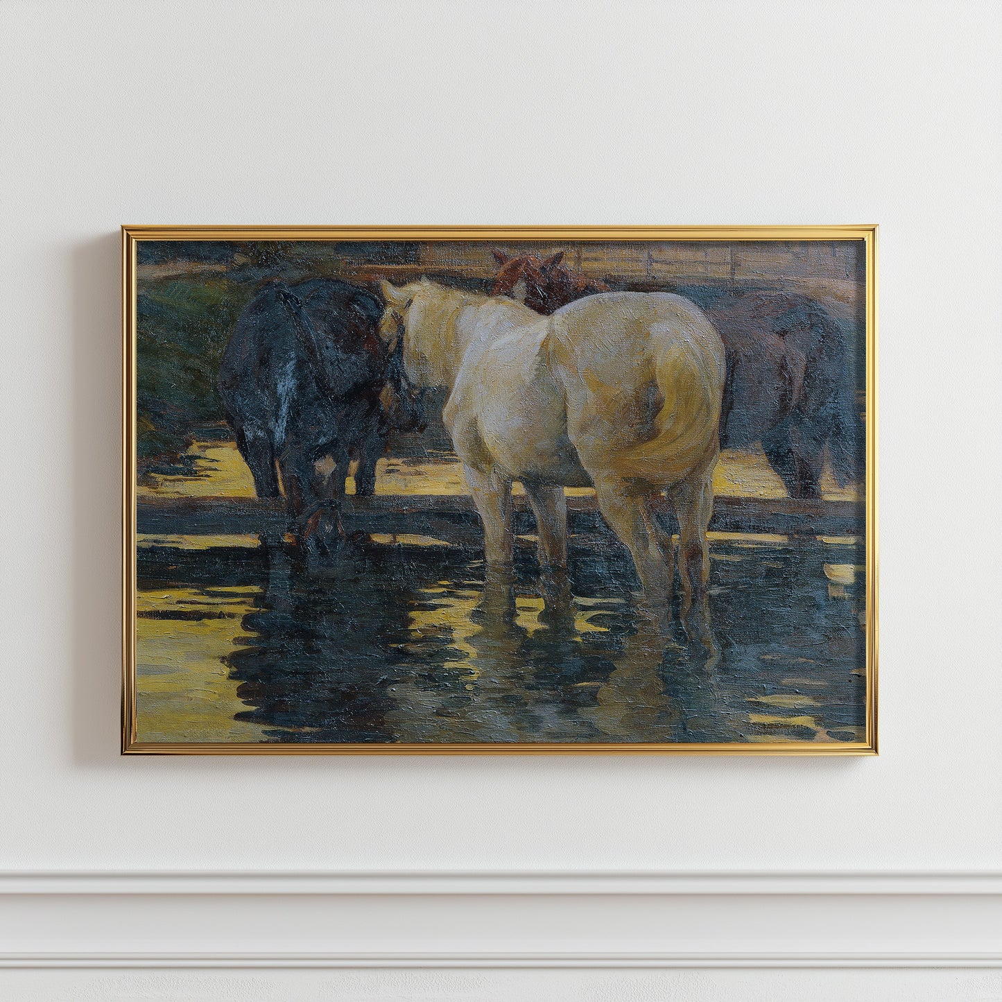 Equine Reflections