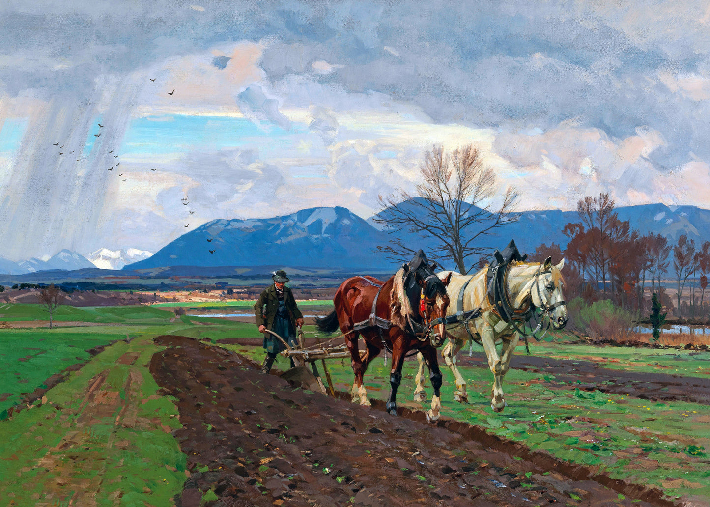 Plowman's Journey