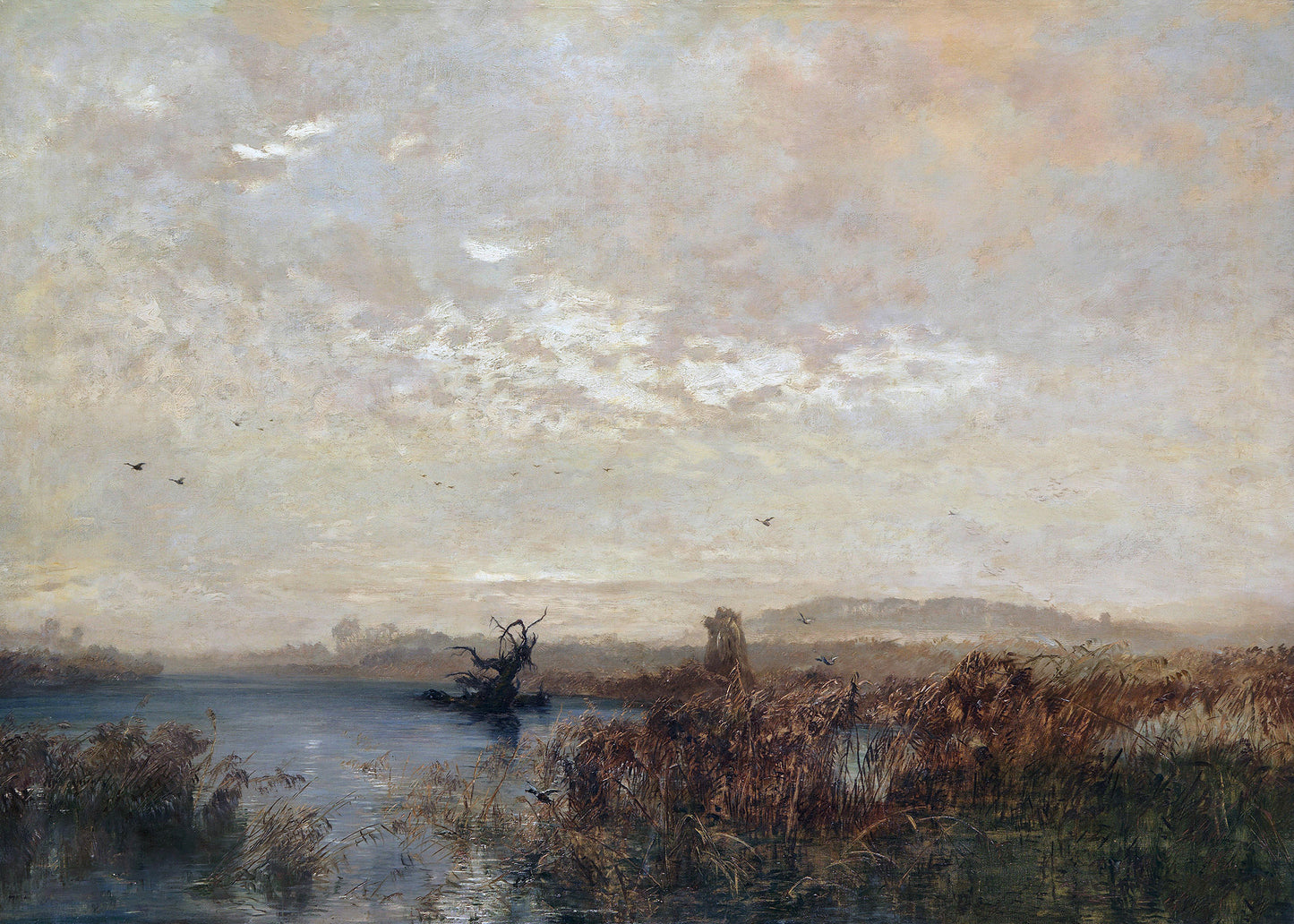 Misty Morning Marsh