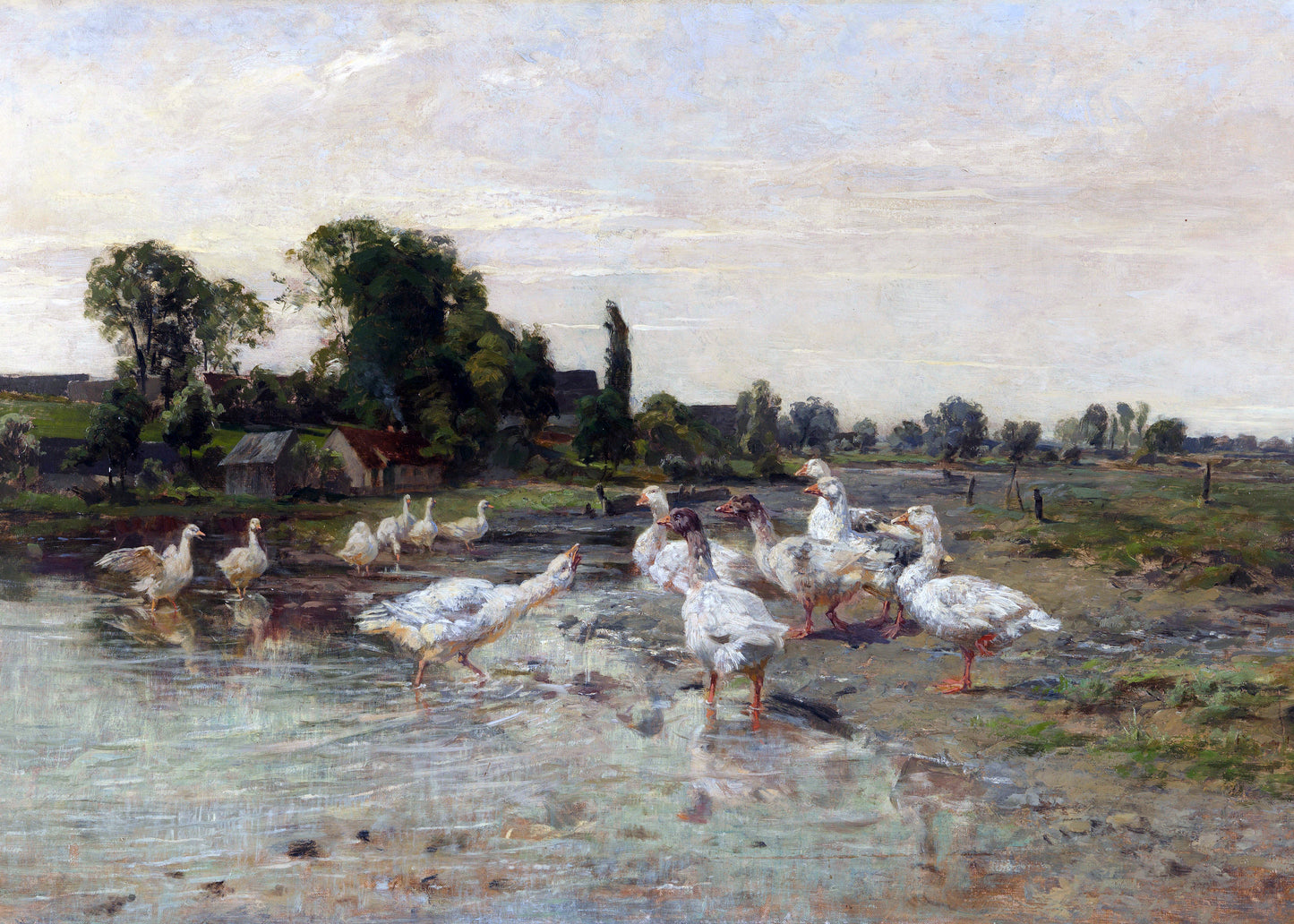Rustic Waterfowl Gathering
