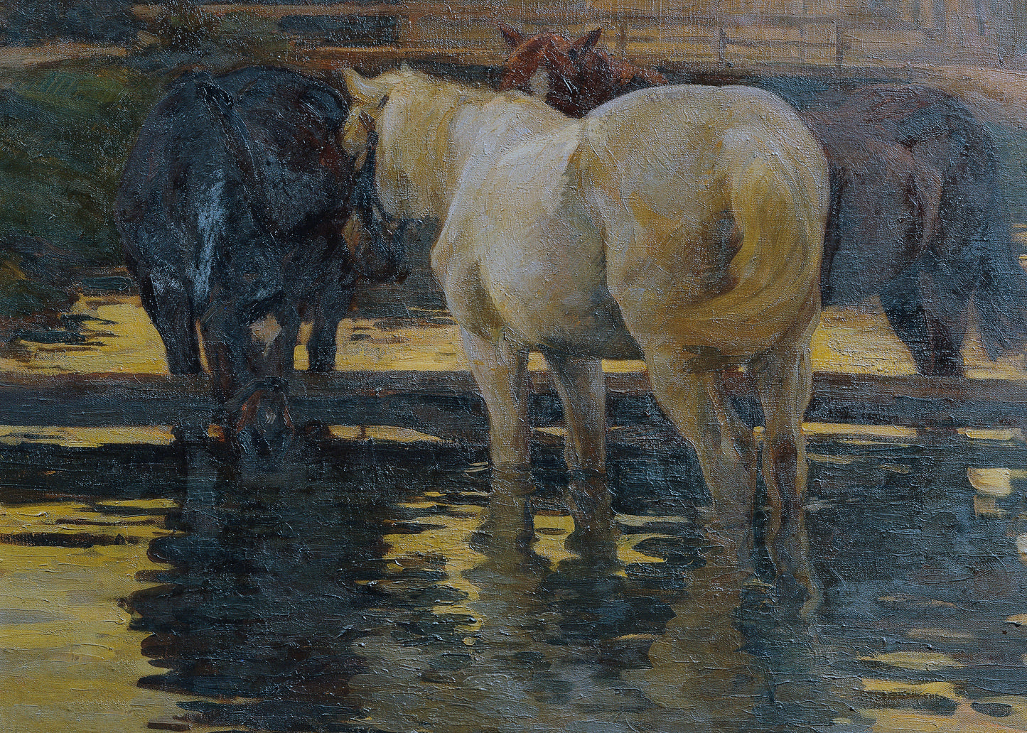 Equine Reflections