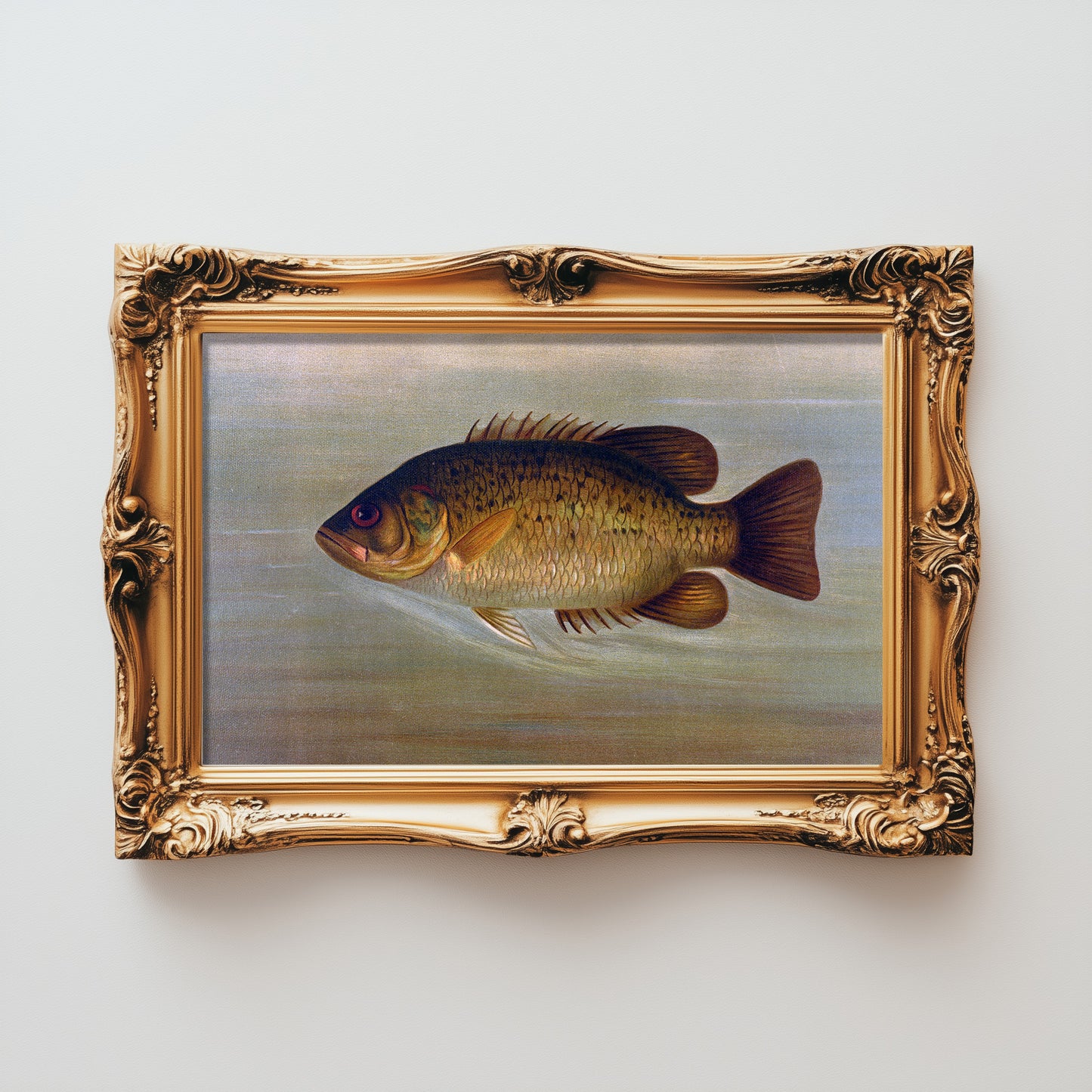 Golden Fish Portrait