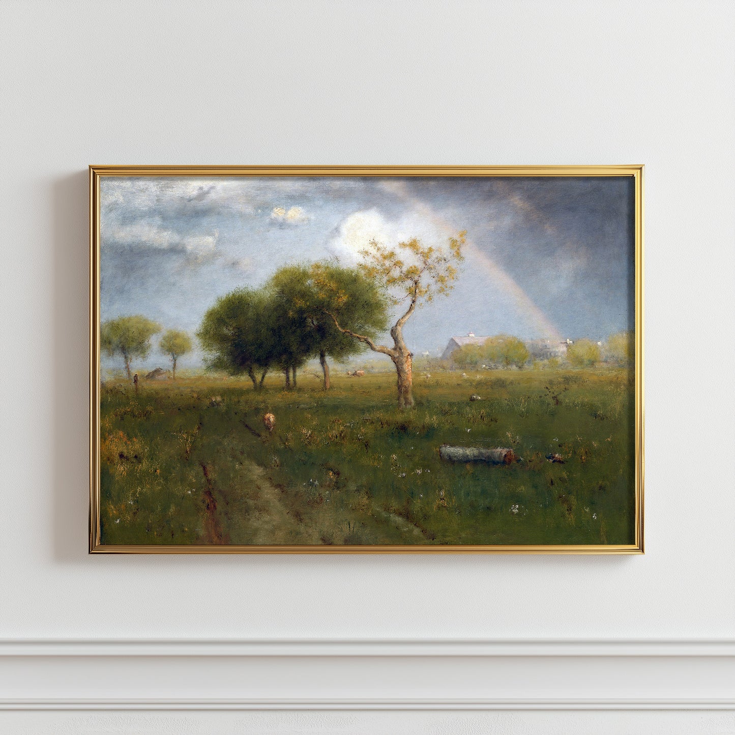 Rainbow Meadow