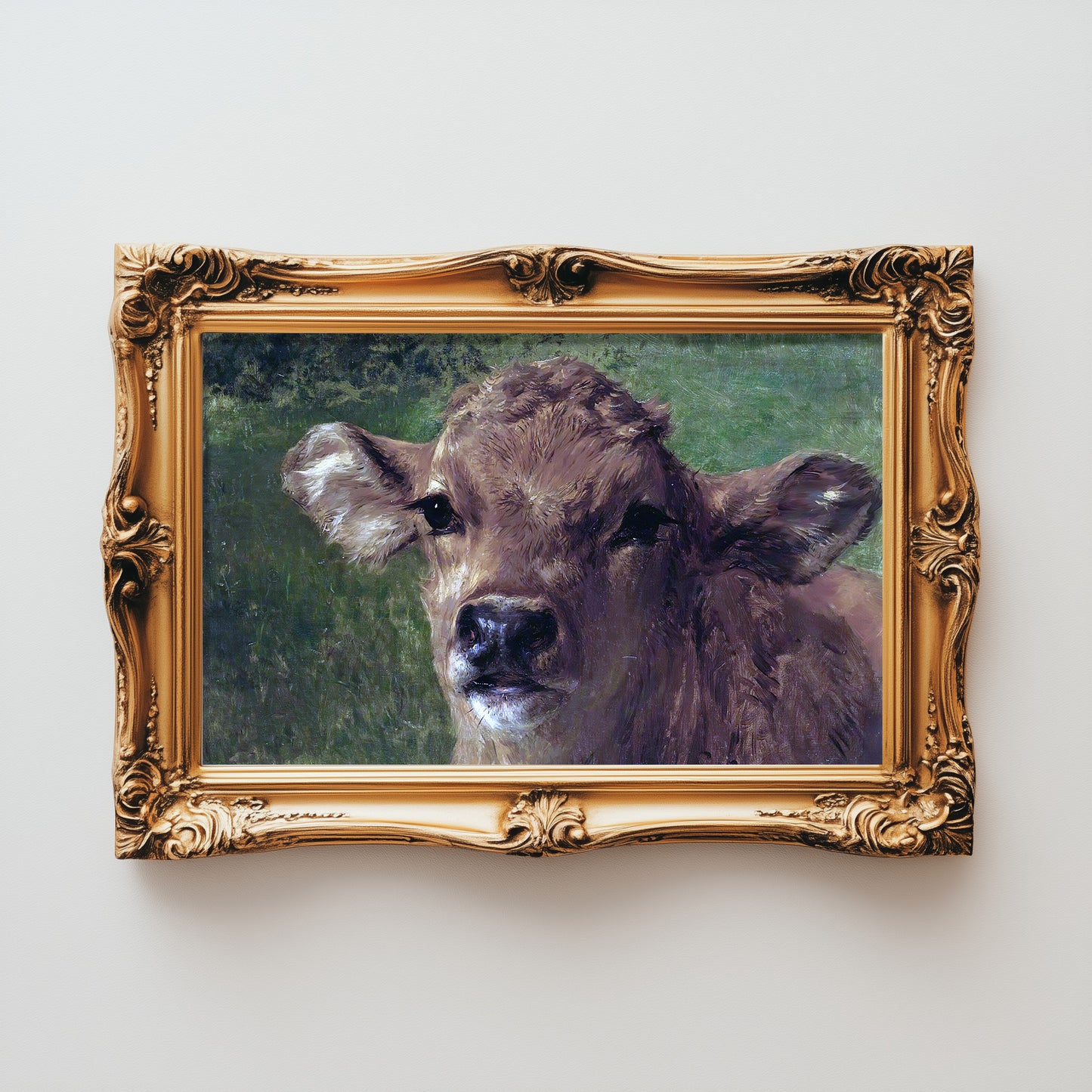 Gentle Gaze Calf
