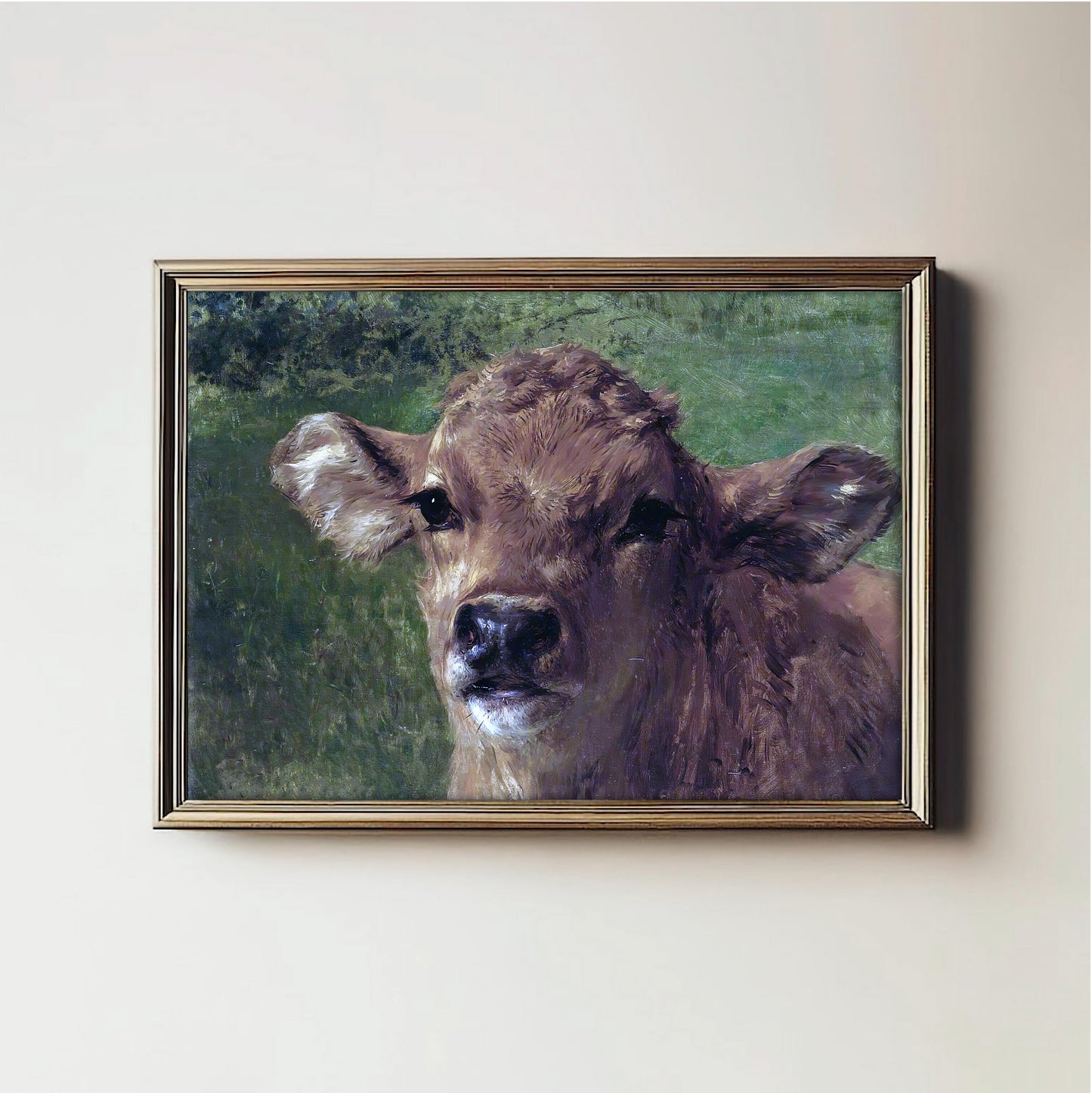Gentle Gaze Calf