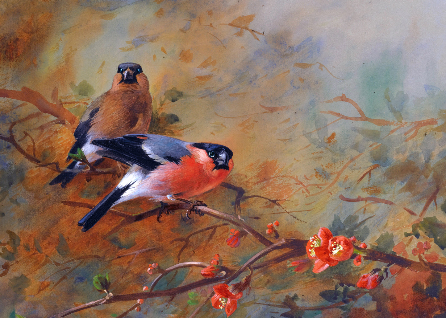 Springtime Songbirds
