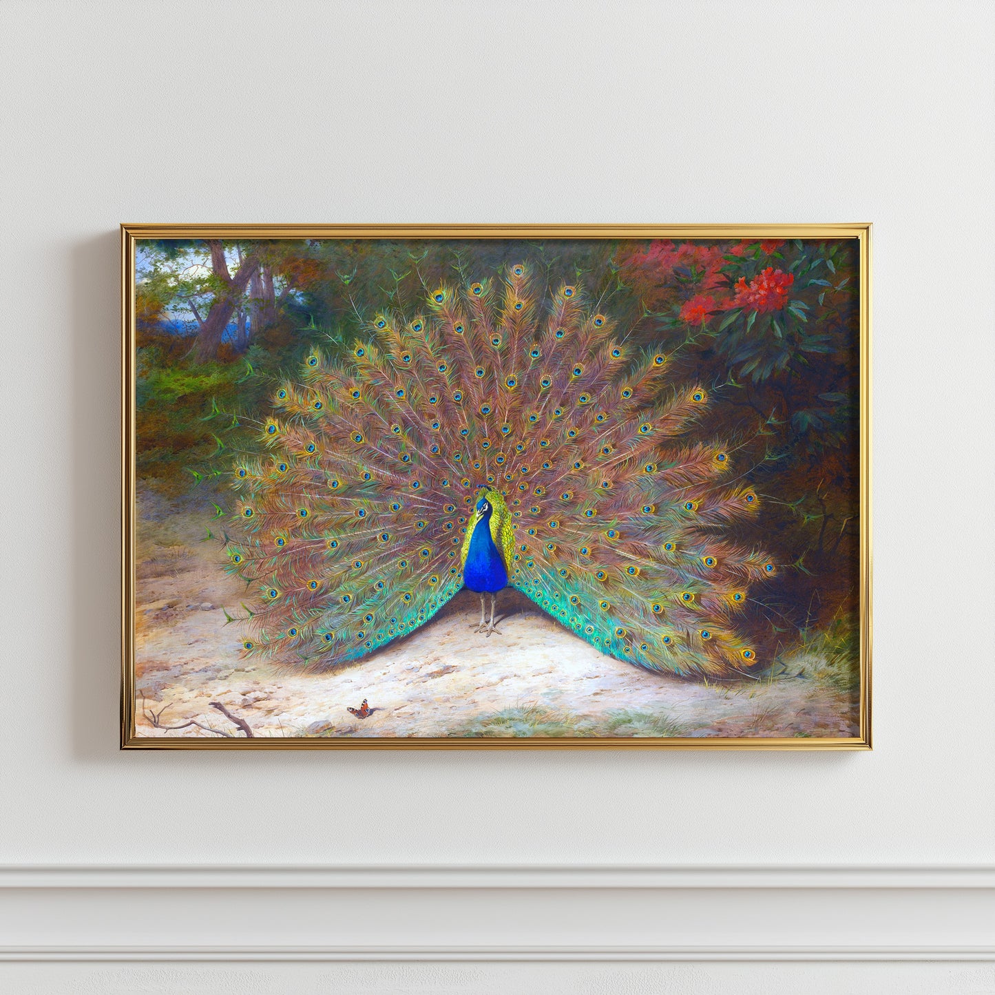 Majestic Plumage Display