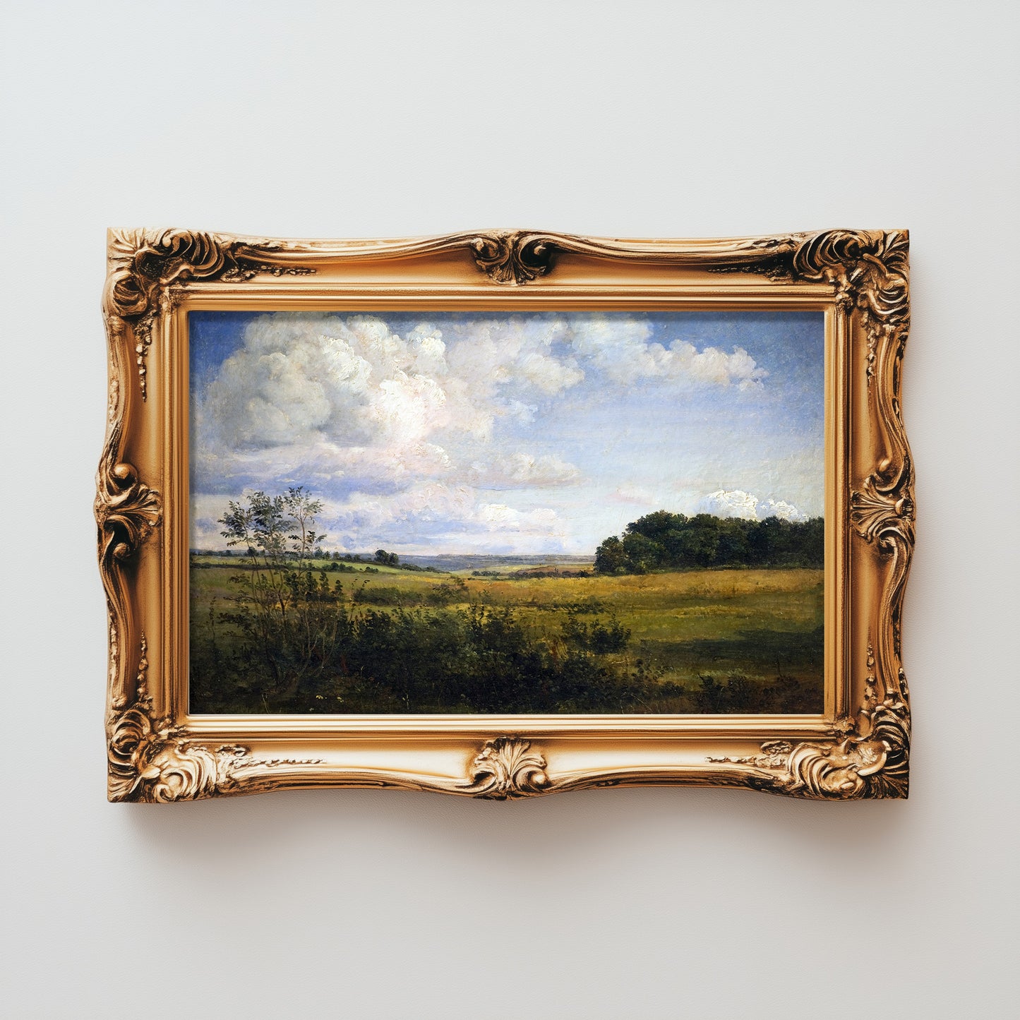 Cloudy Summer Meadow