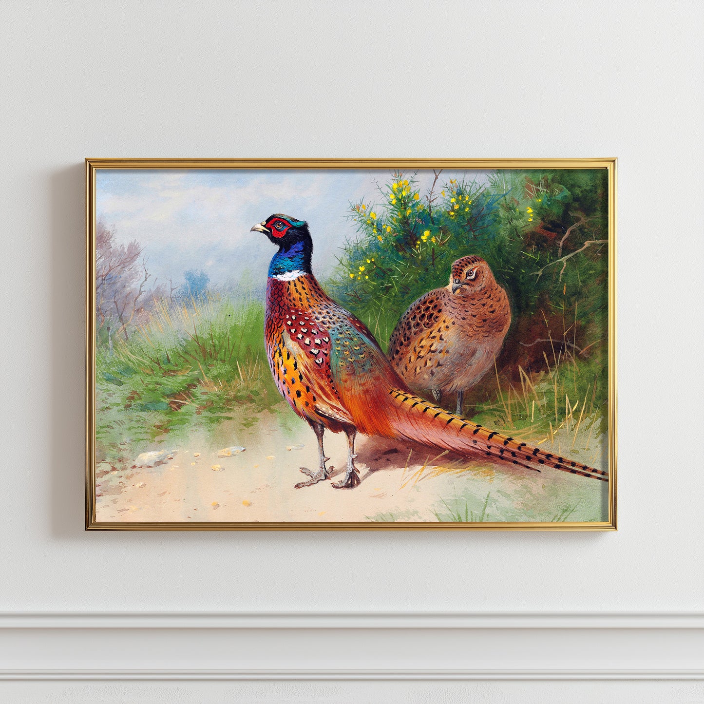 Vibrant Pheasant Pair