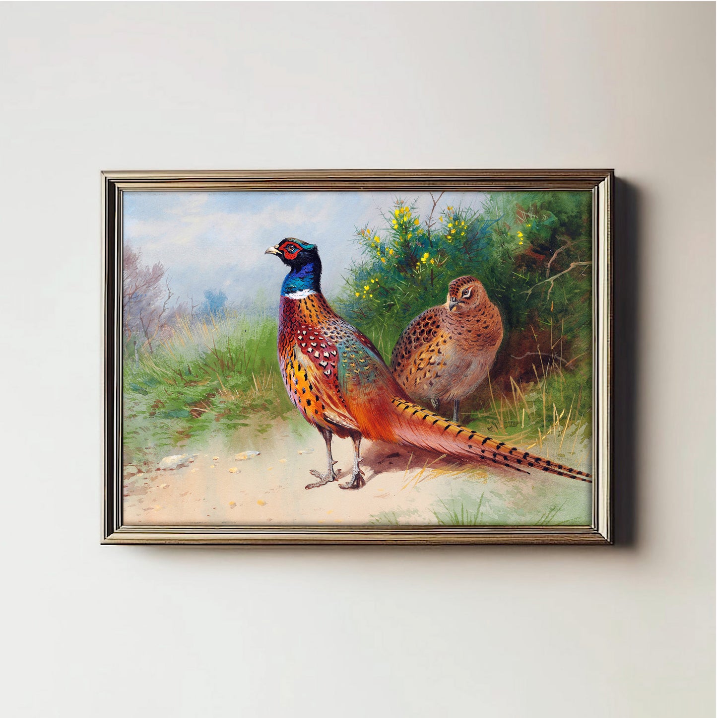 Vibrant Pheasant Pair