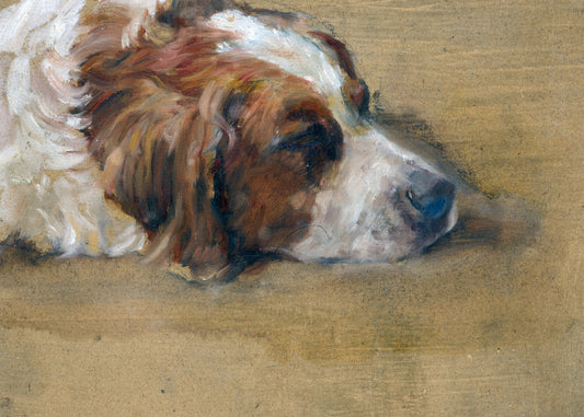 Restful Canine Dream