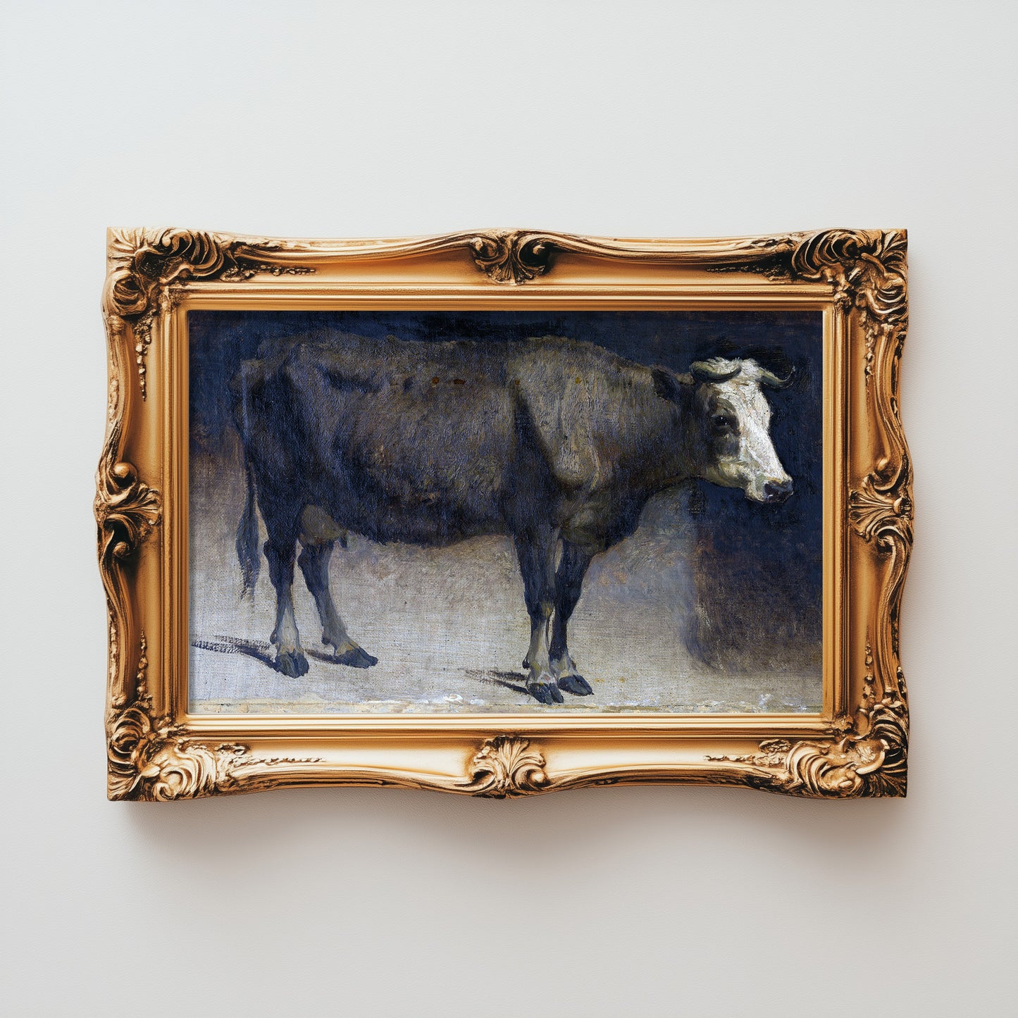 Stoic Bovine Portrait