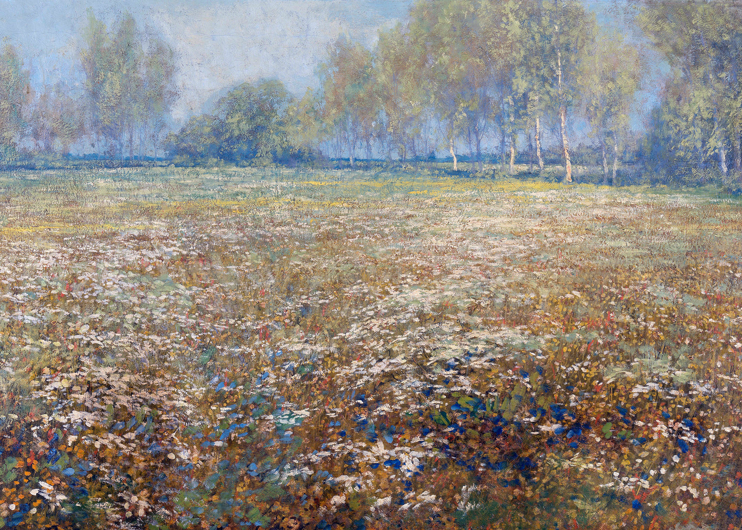Meadow Symphony