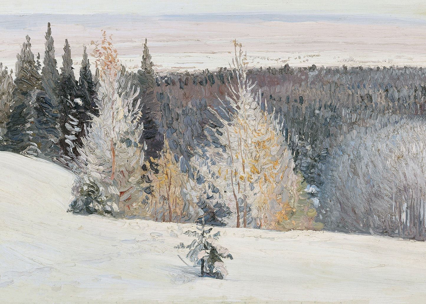 Winter's Quiet Embrace
