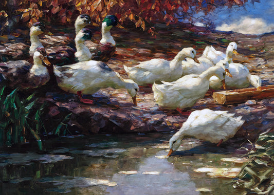 Autumn River Gathering