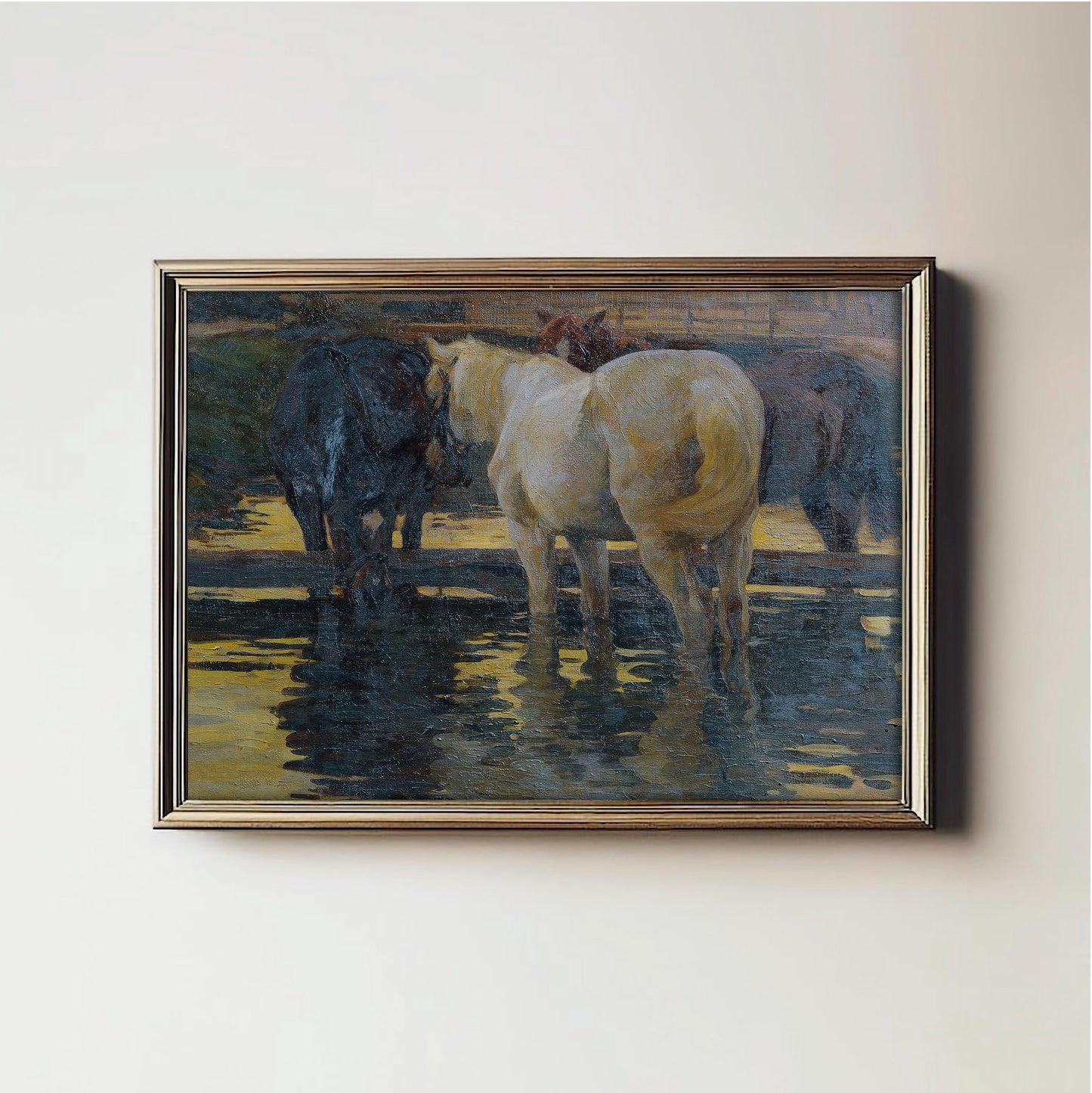 Equine Reflections