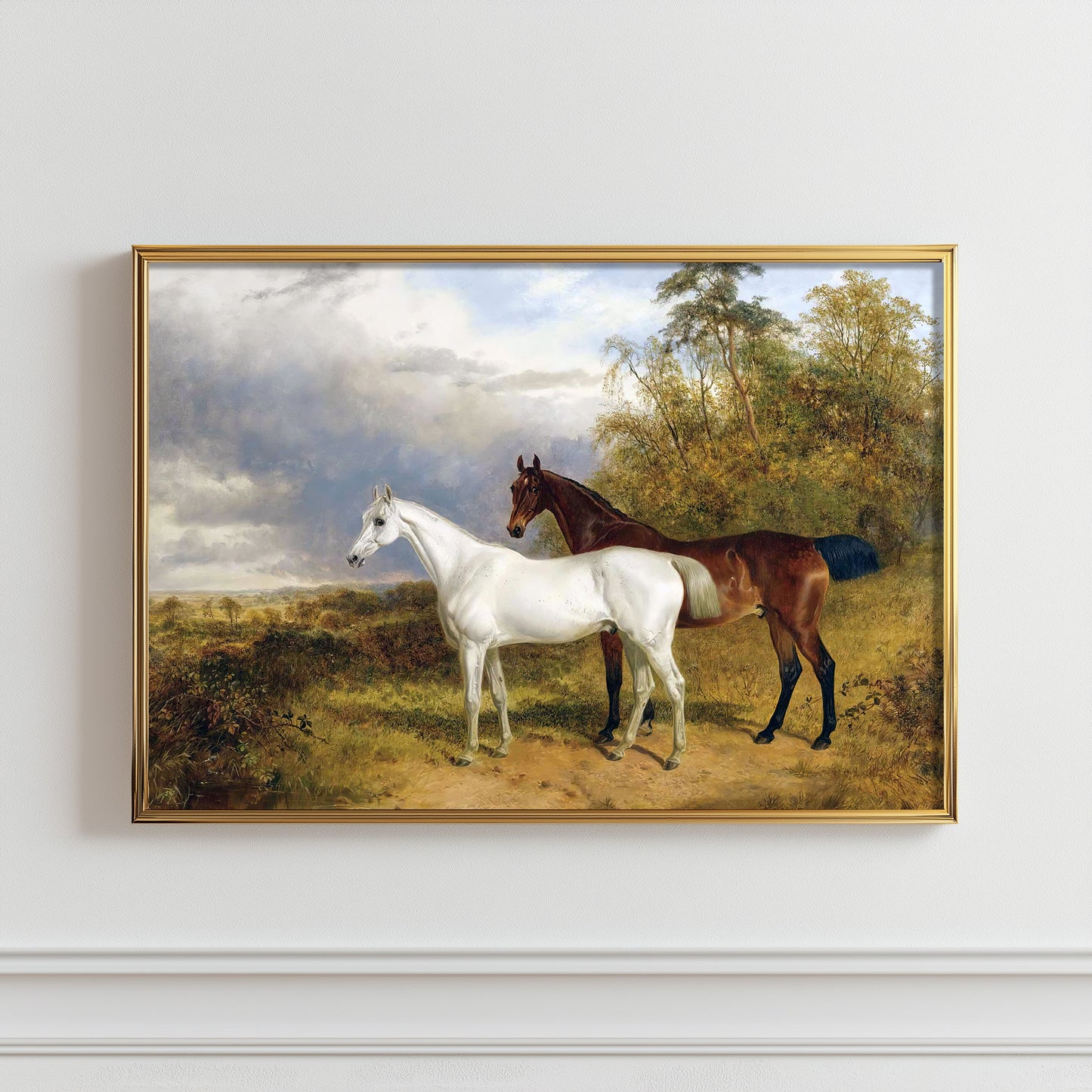 Equine Serenity