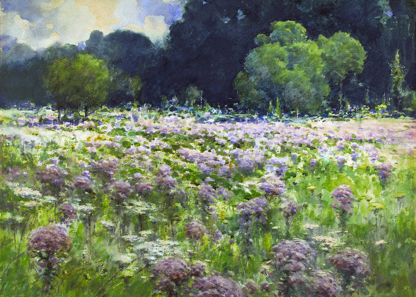 Lavender Meadow Bliss