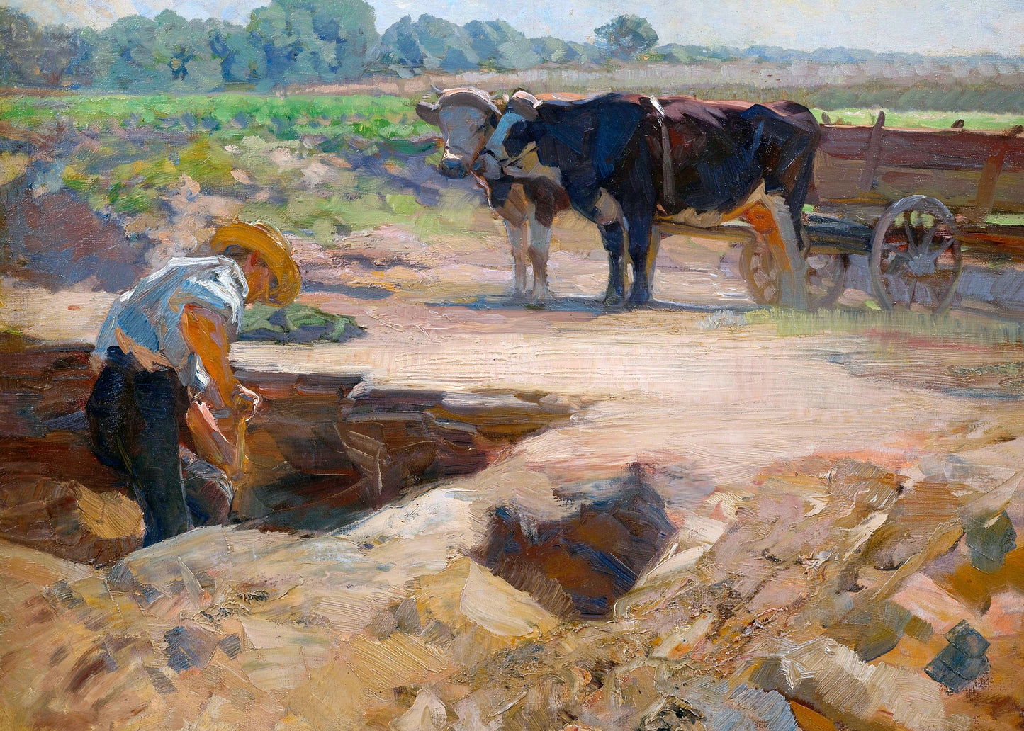 Harvest Harmony