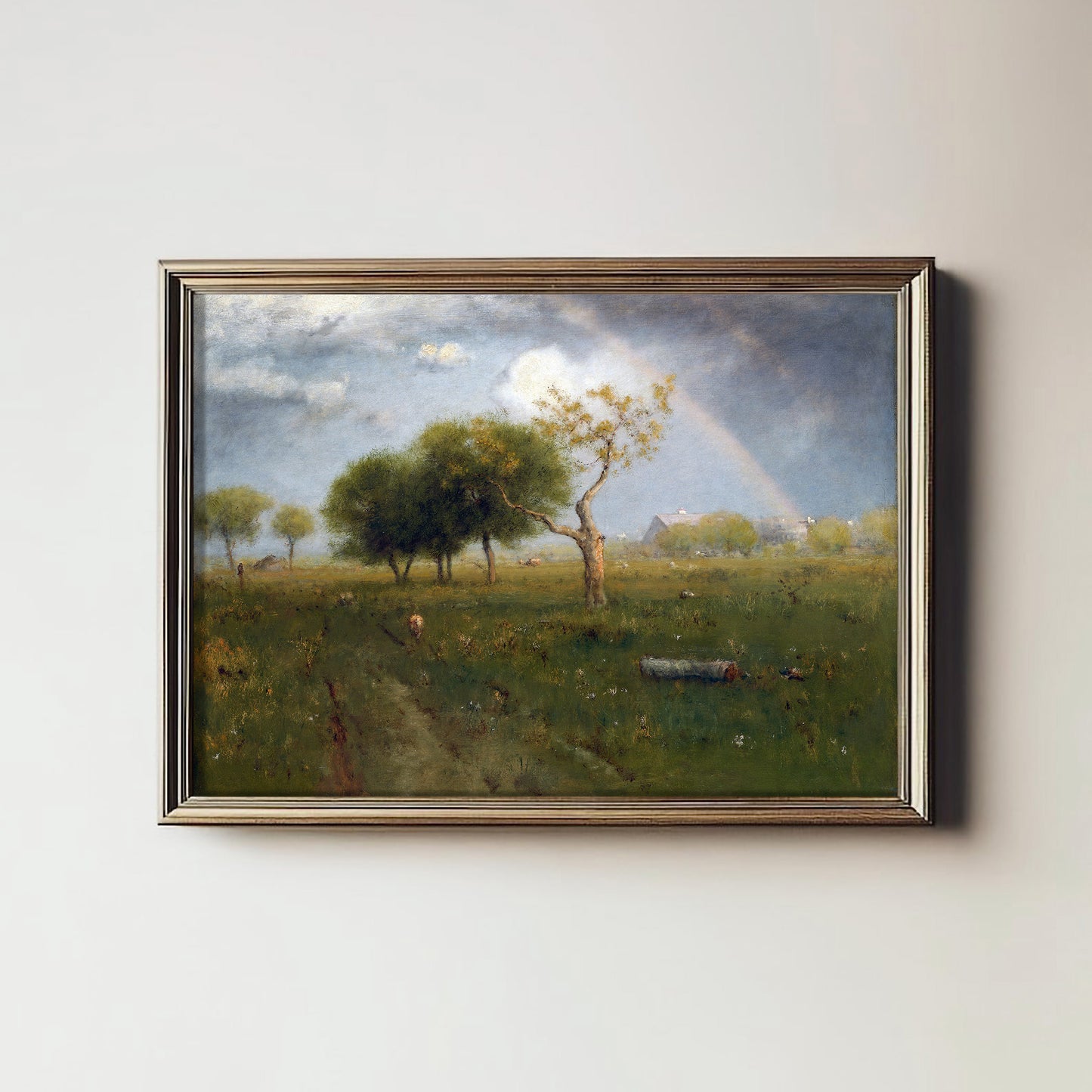 Rainbow Meadow