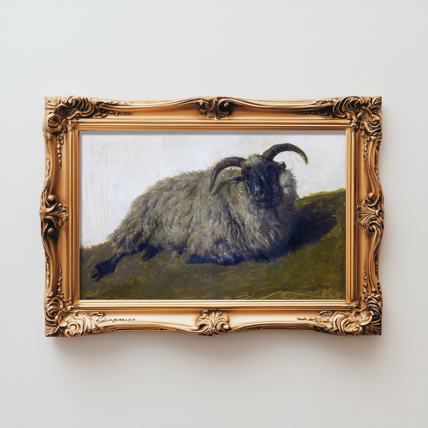 Resting Woolly Muse