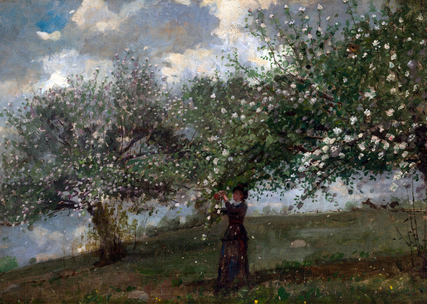Blossom Gathering