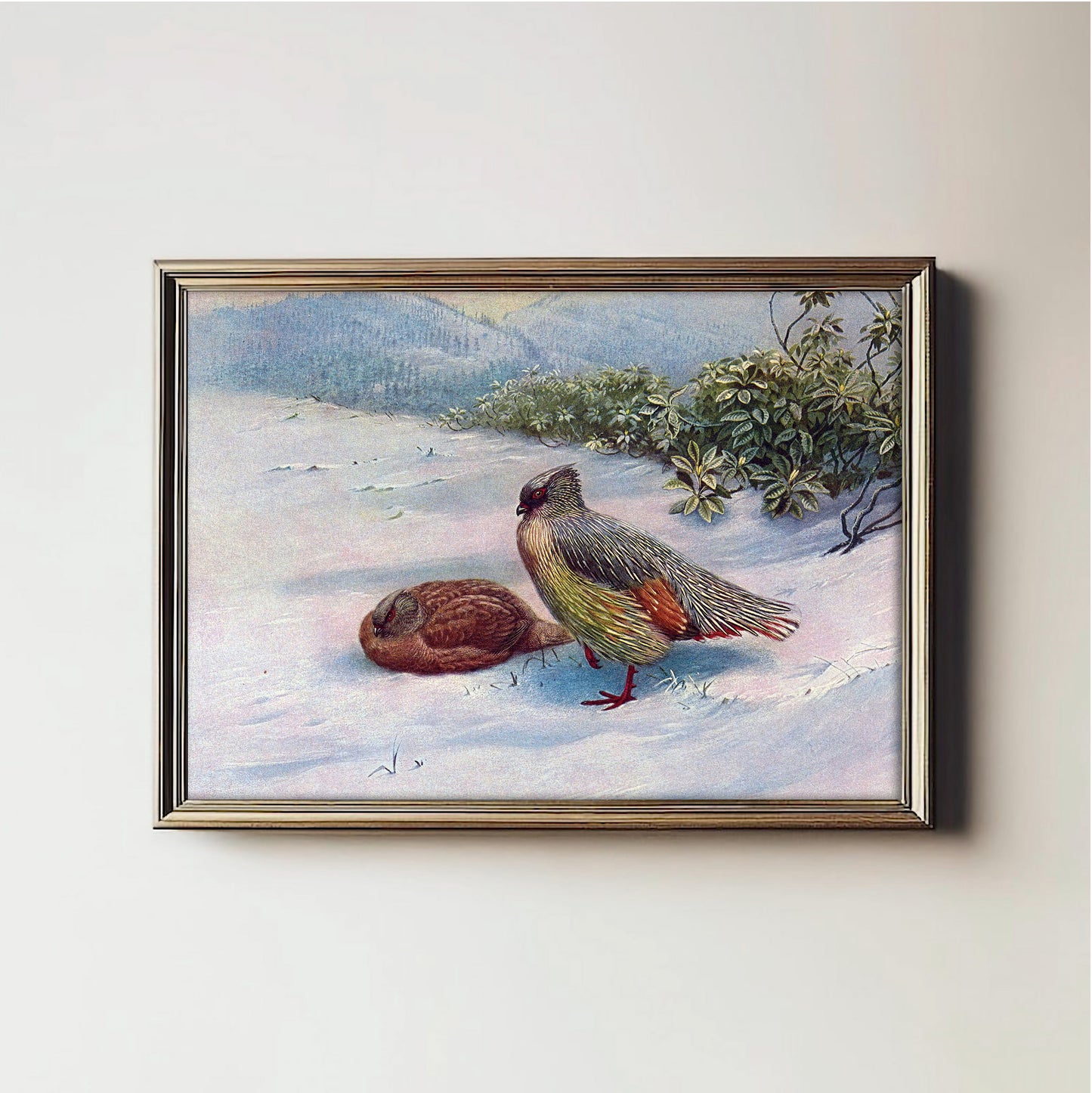 Winter Quail Serenity
