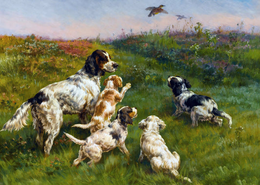 Field Playful Canines
