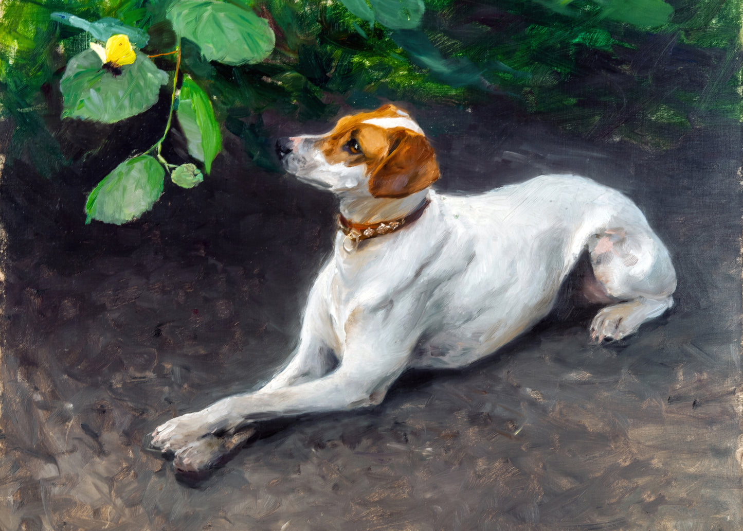 Contemplative Dog