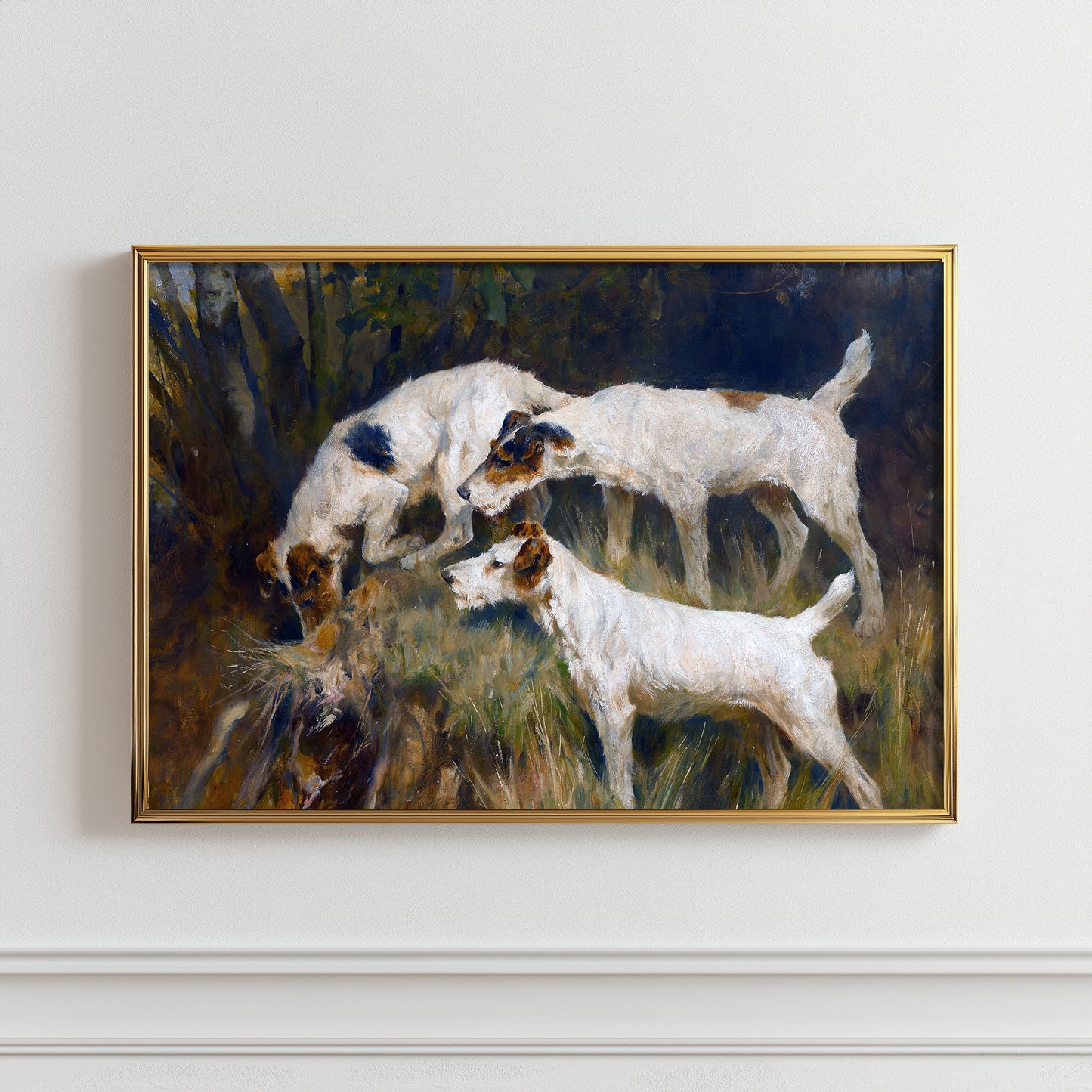 Canine Exploration Trio