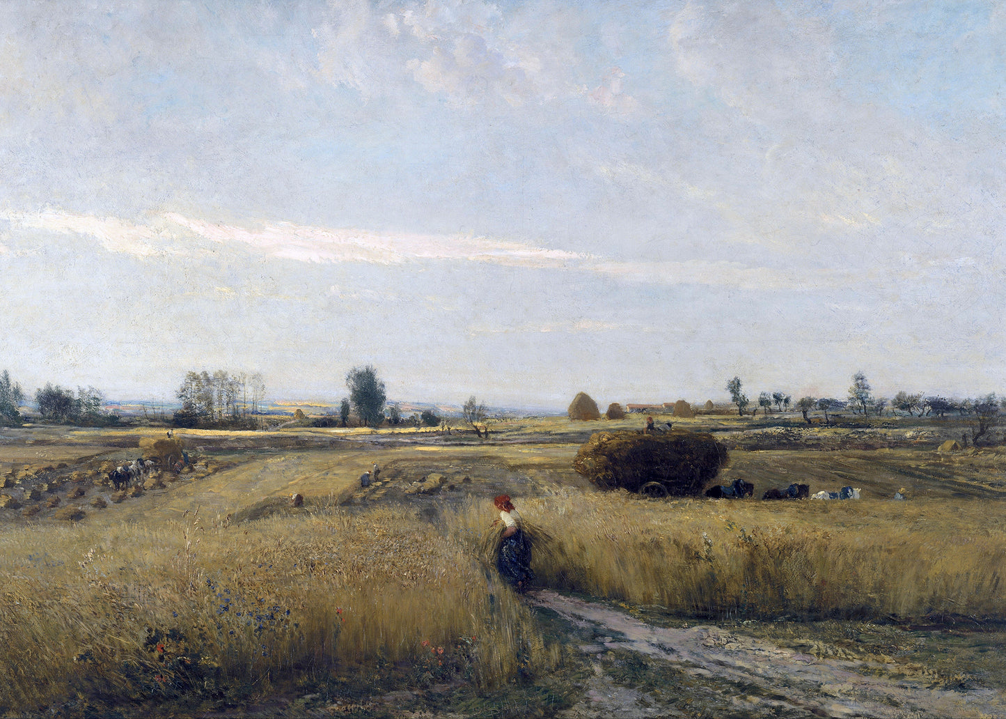 Harvested Horizon