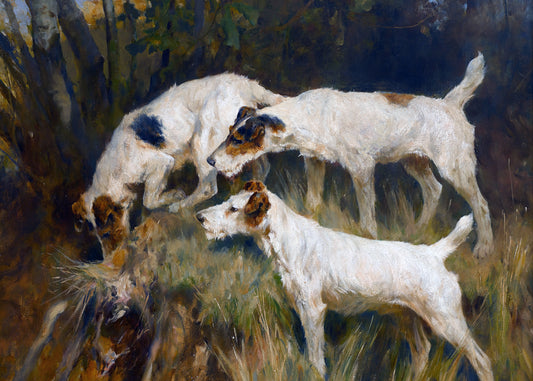 Canine Exploration Trio