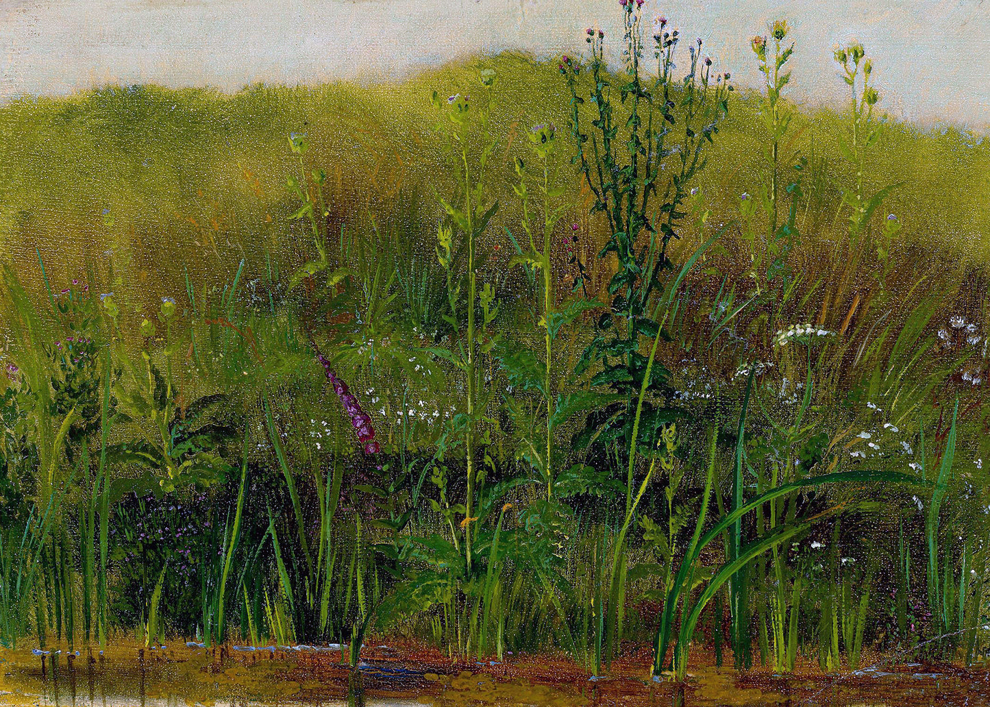 Verdant Meadow Calm