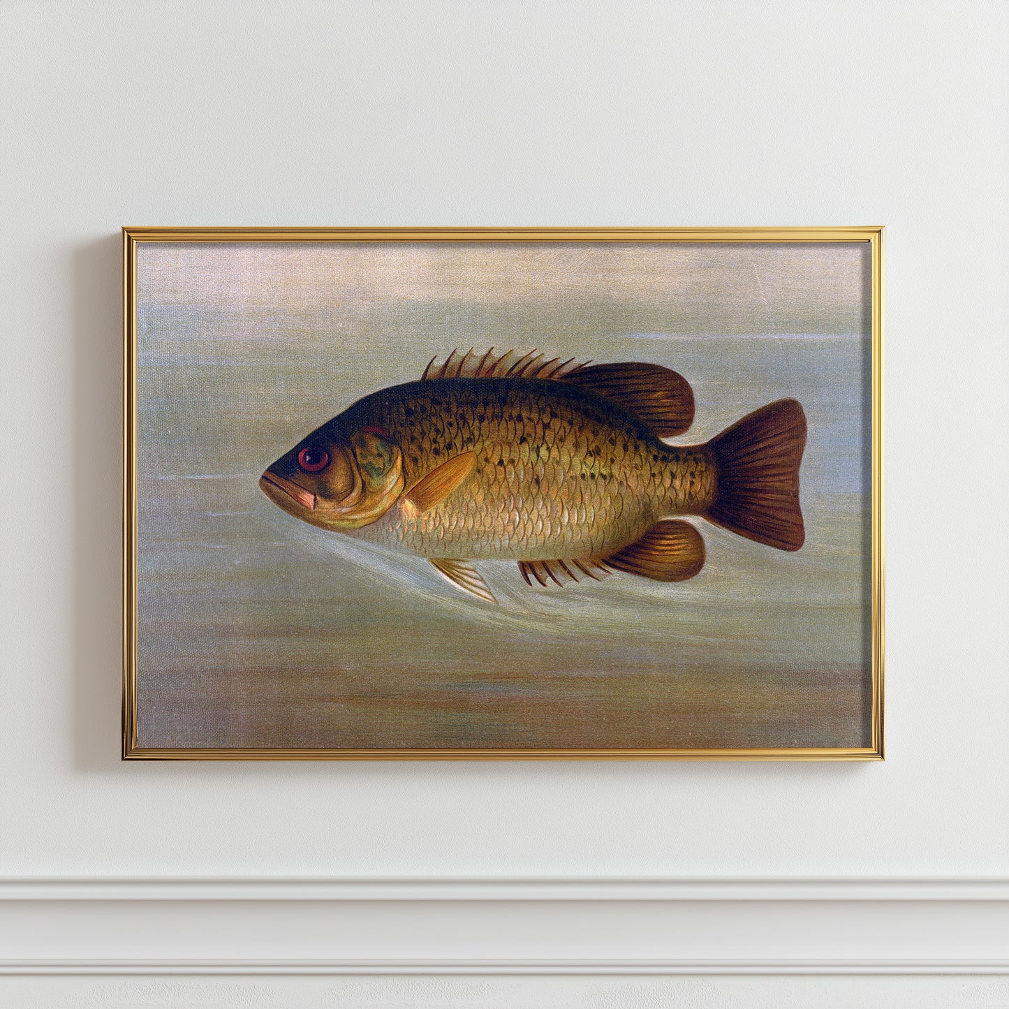 Golden Fish Portrait