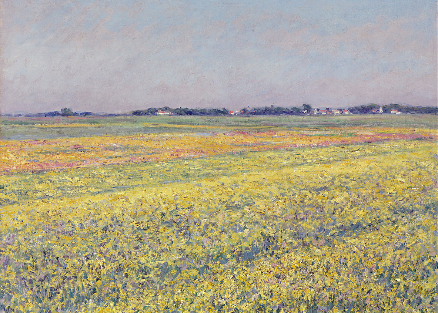 Sunlit Meadow Panorama